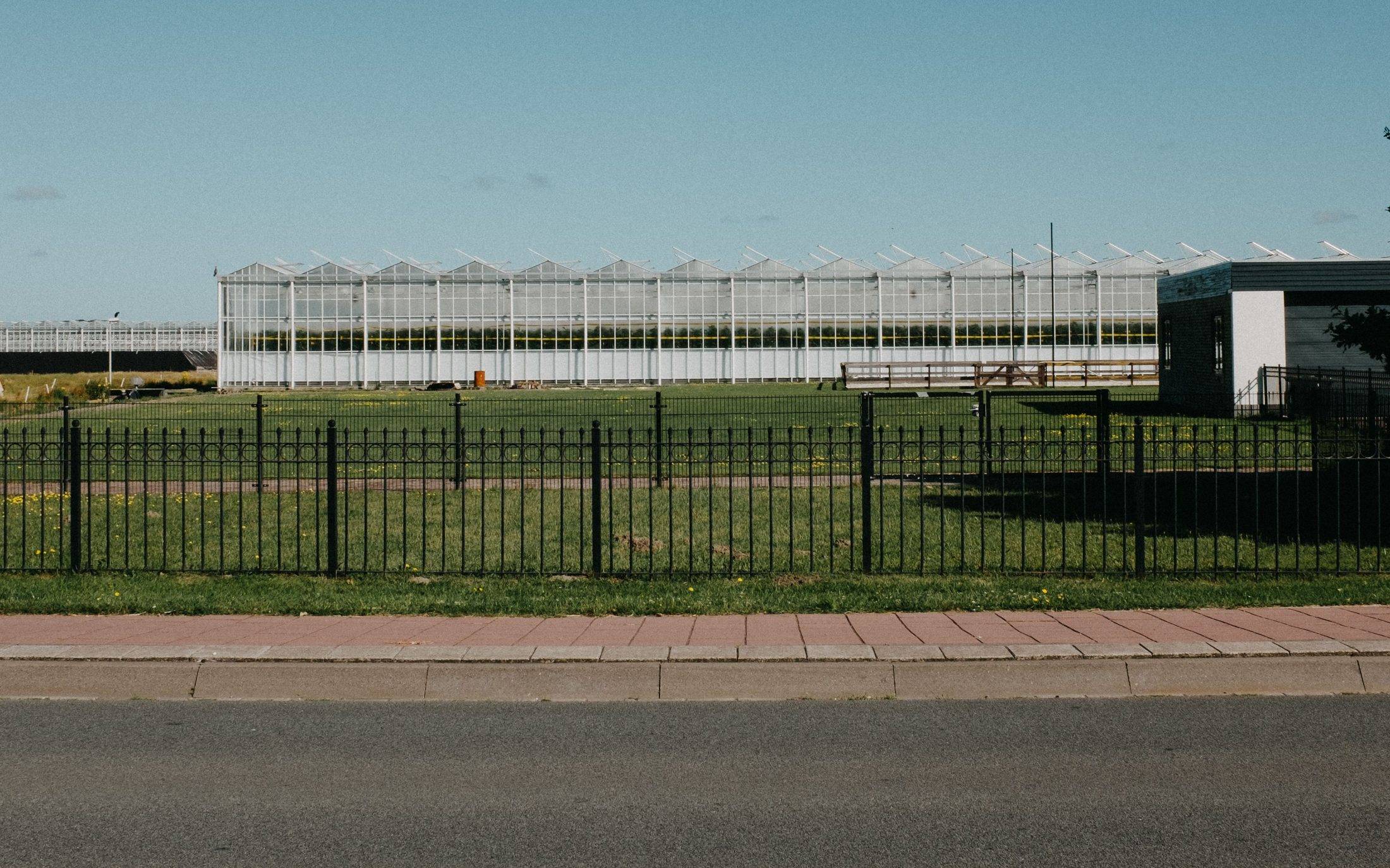 Black metal picket fence along a roadside verge in front of large commercial greenhouses