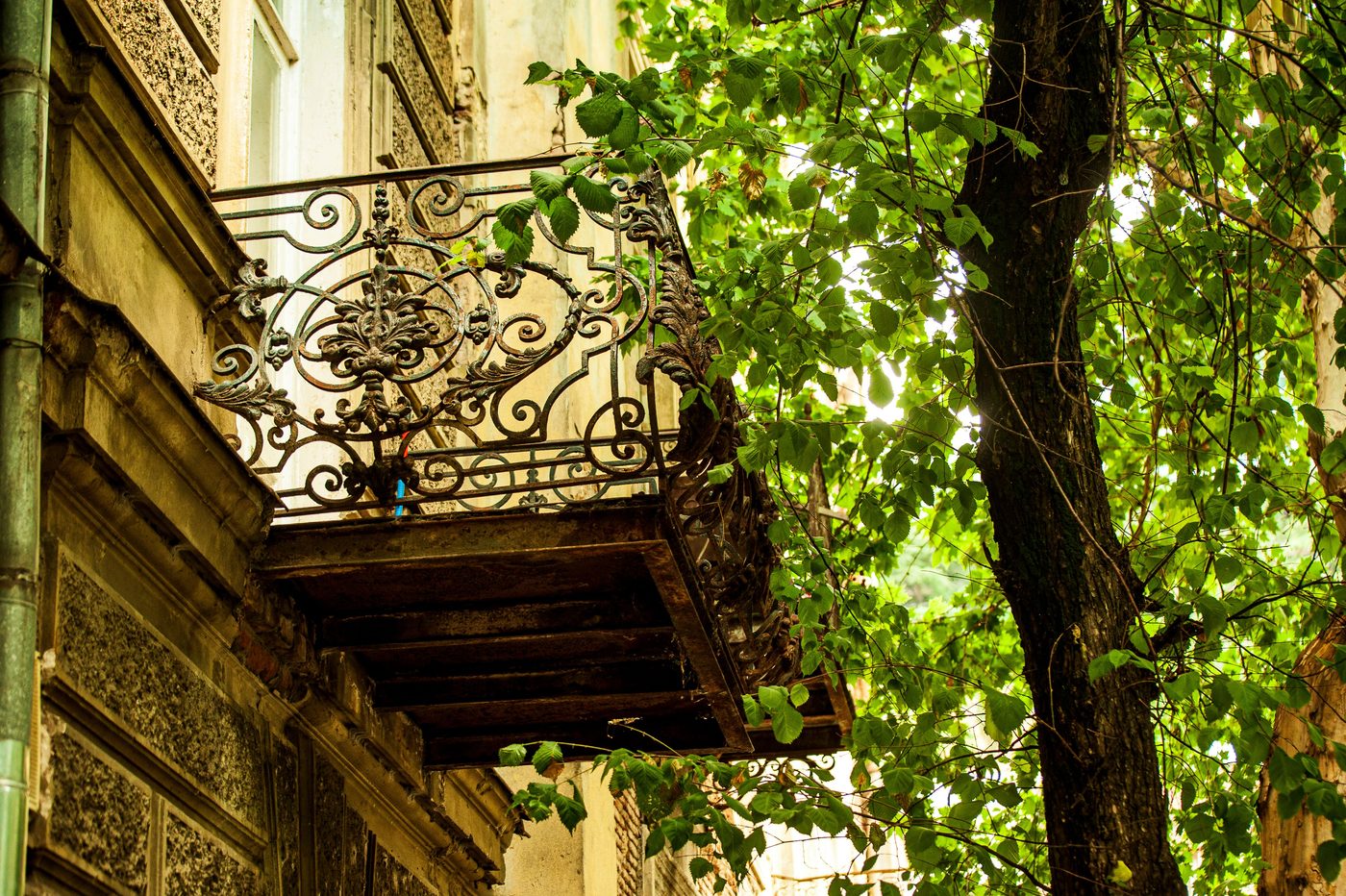 Commercial wrought iron fencing detail