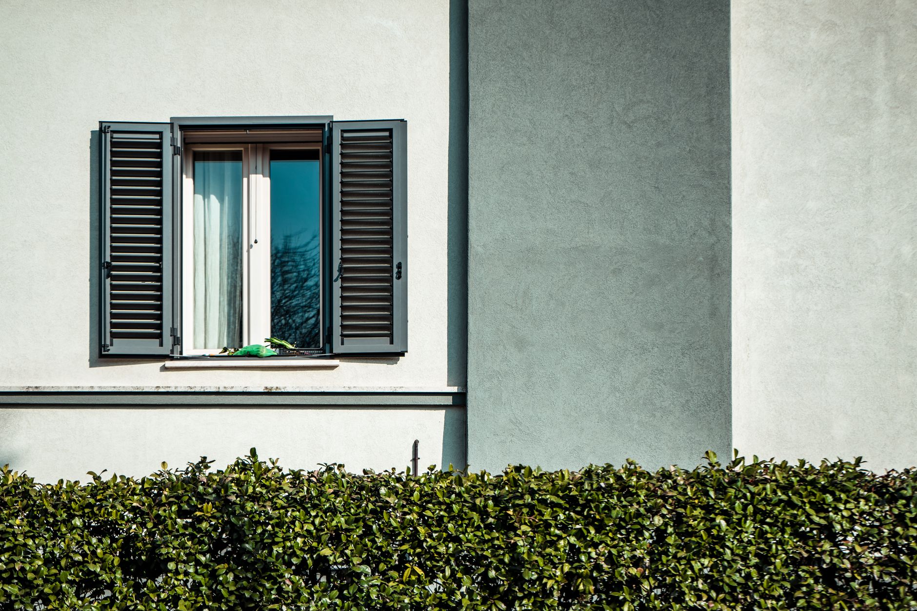 Aluminum fence color finish guide new orleans featured