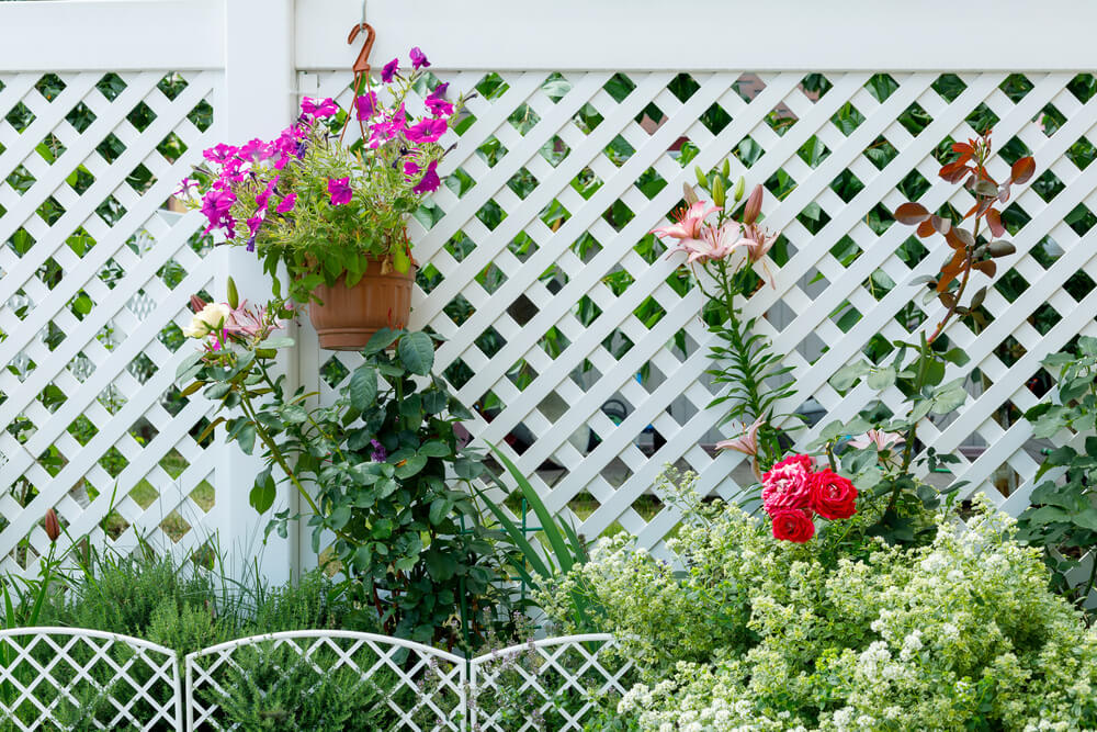 How to Make My Fence Look Nice in New Orleans