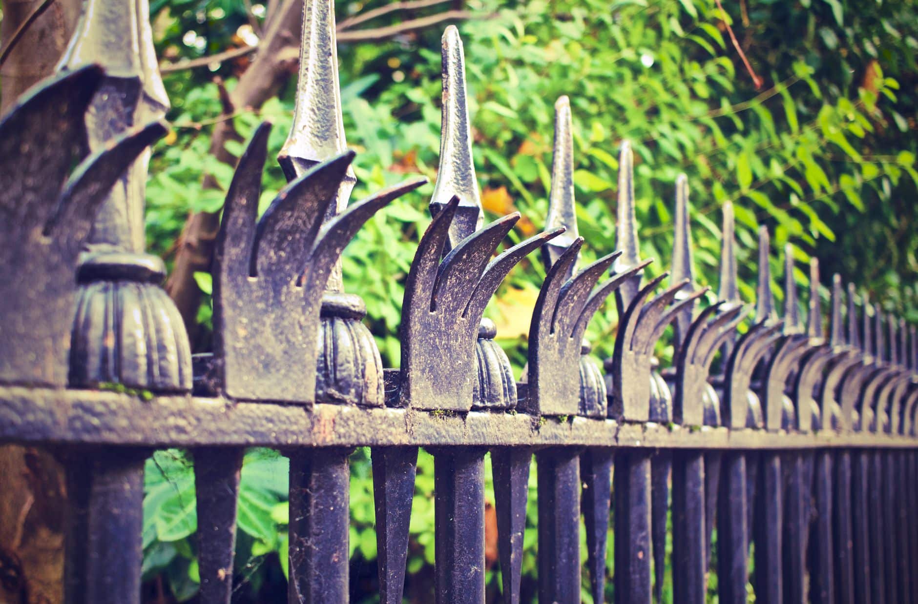 Close-up of an ornate iron fence with decorative spikes among lush greenery.
