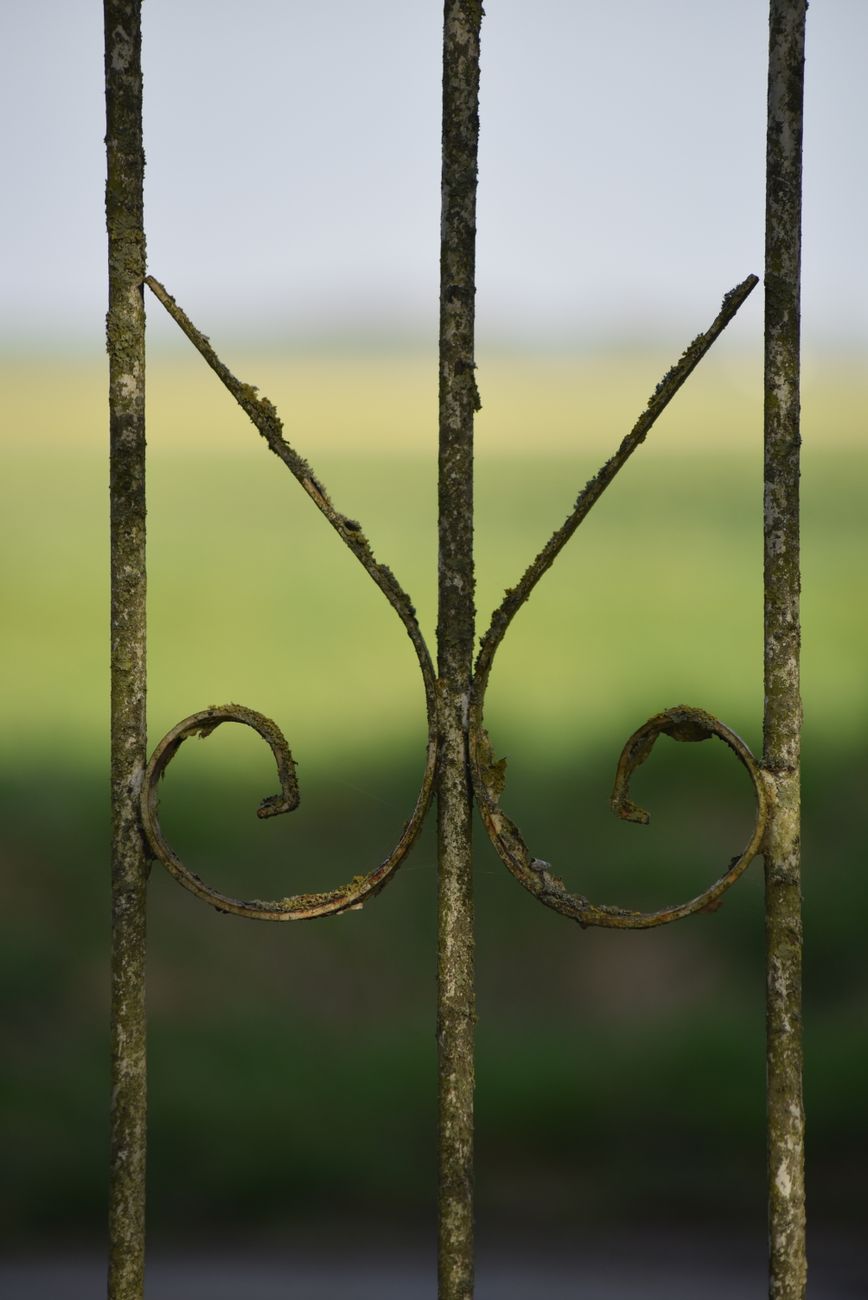 A rusty ornamental metal fence with a blurred green landscape in the background.