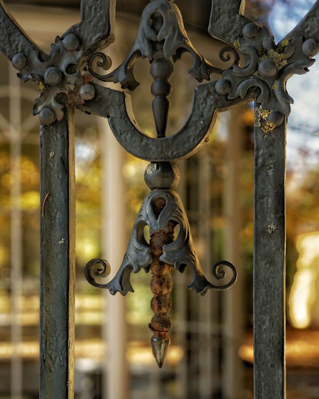 Close-up of an intricately designed vintage wrought iron fence with ornate decorations.